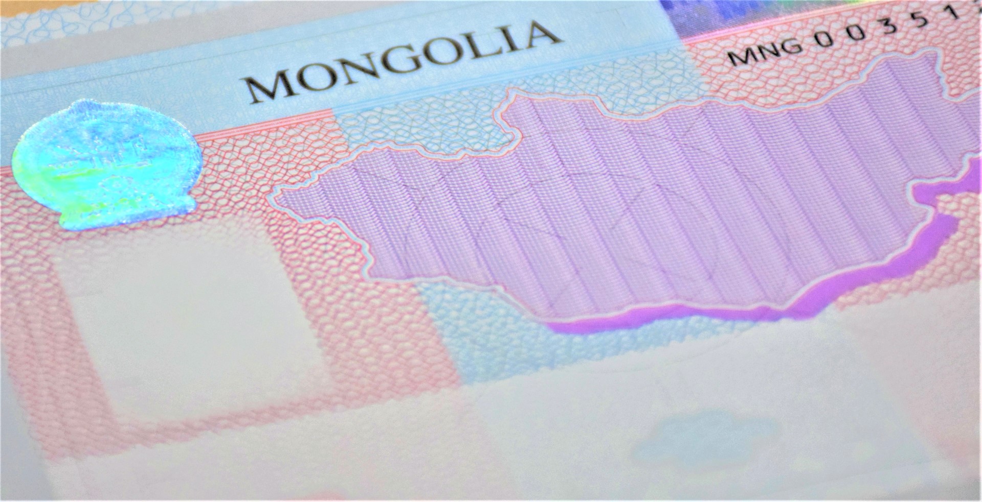 Immigration Agency of Mongolia has been accepting online visa extension requests since June 13 2022